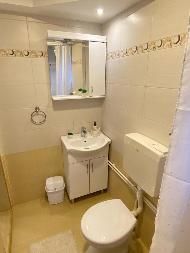 Apartman Mina Mataruska Banja Exterior foto